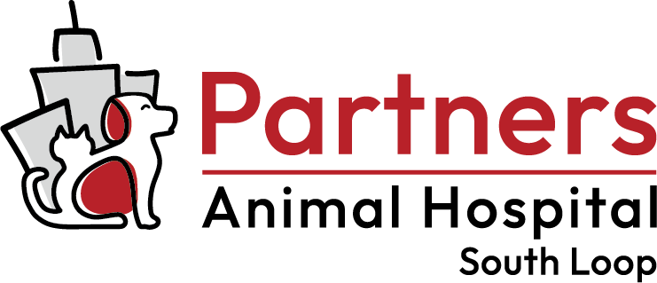 Partners South Loop Horizontal Logo